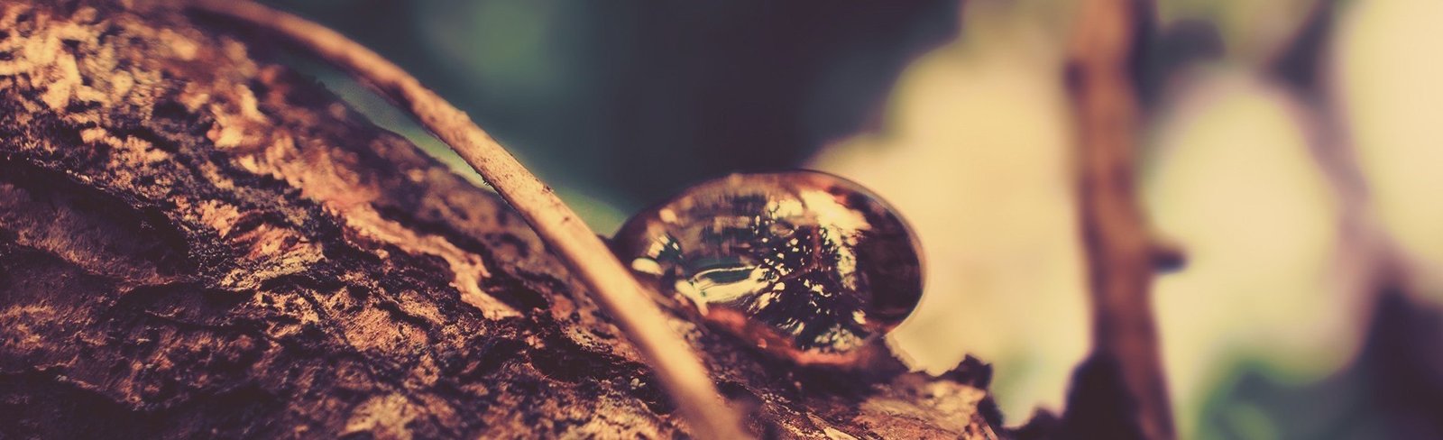 Le Bluetooth MESH : qu&rsquo;est ce que c&rsquo;est ?