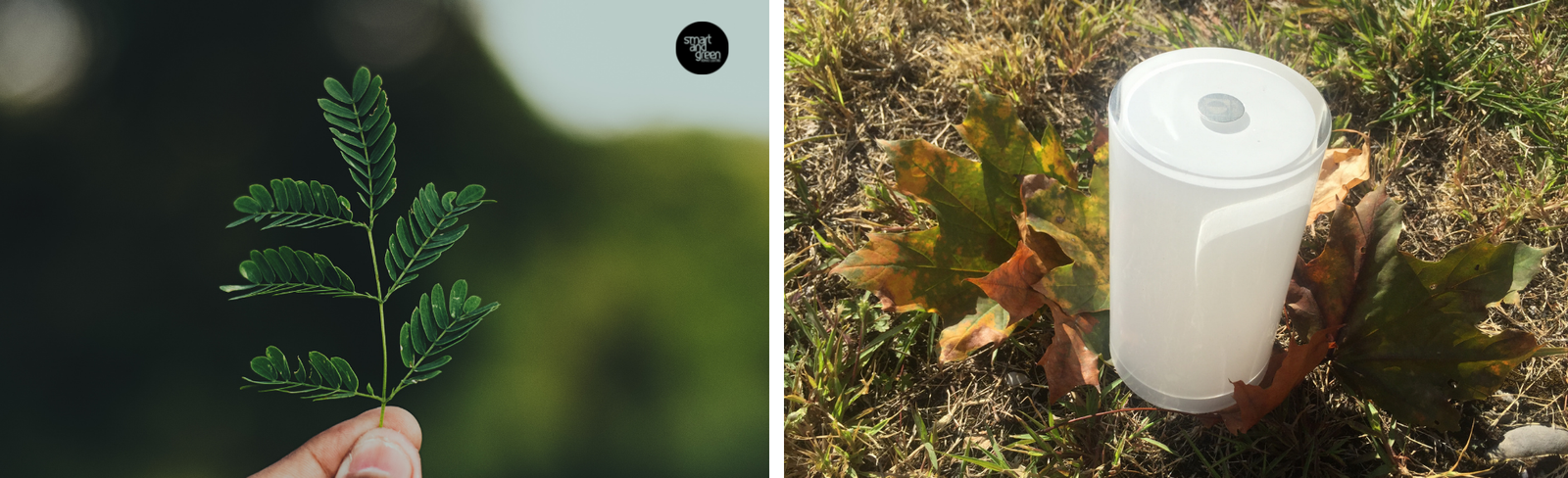 A Green Decoration: How to Adopt an Eco-Friendly Decoration at Home?