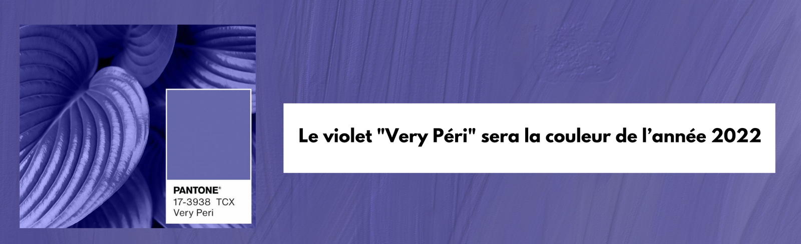 Le violet « Very Péri » sera la couleur de l’année 2022