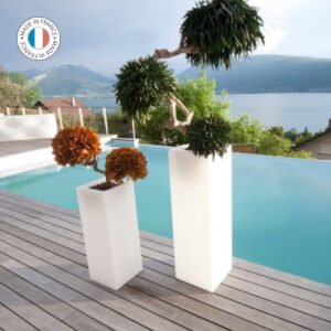 MAMBO FRENCH CONNECTION