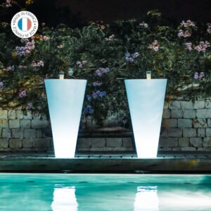 UP FRENCH CONNECTION