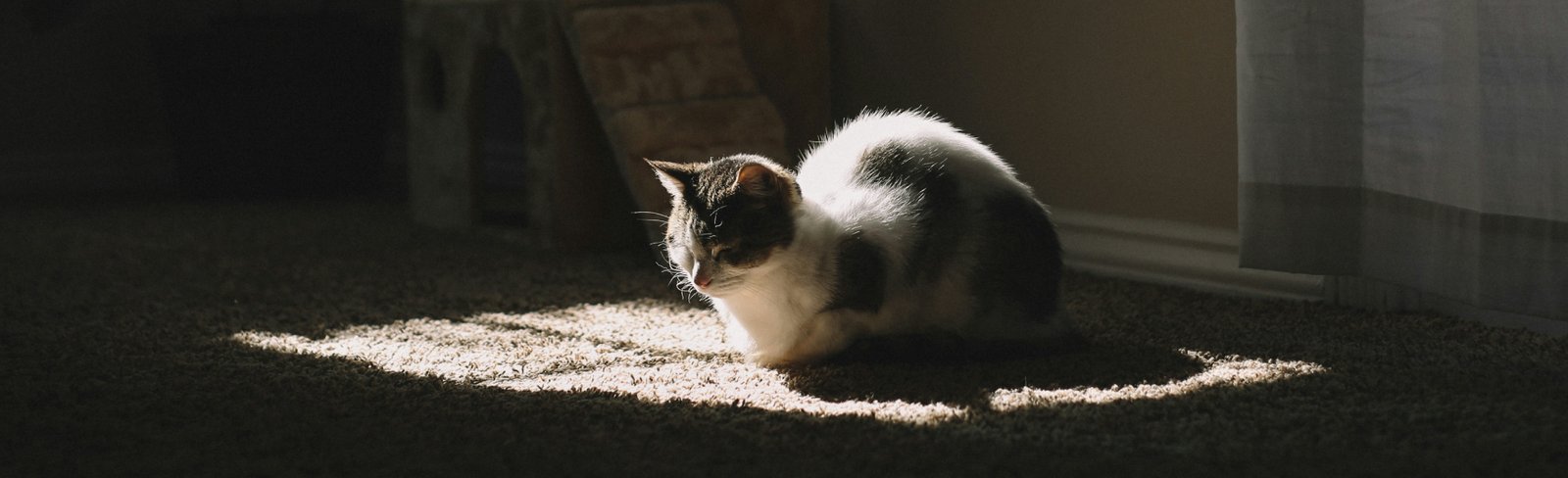 lumiere sommeil banner