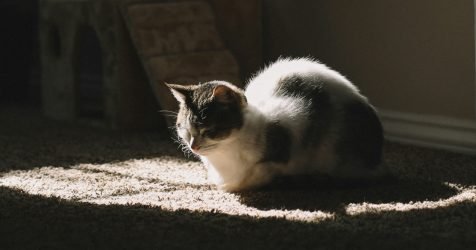 lumiere sommeil banner